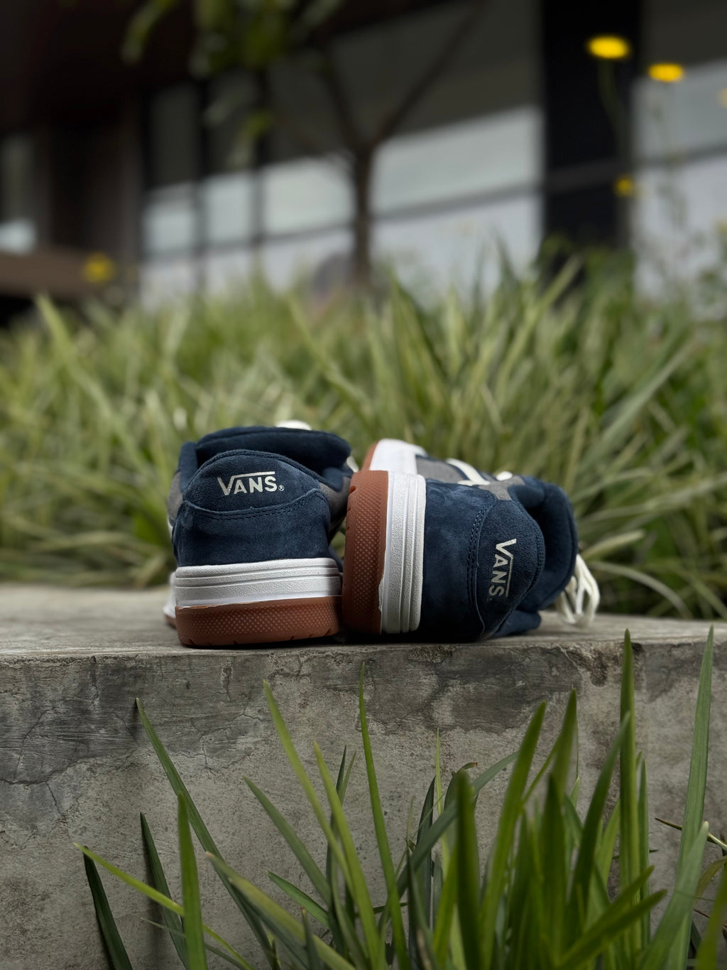 Vans Hylane