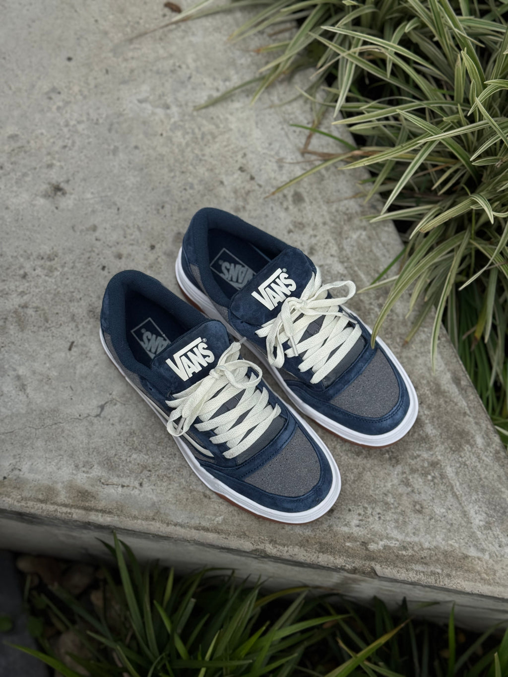 Vans Hylane