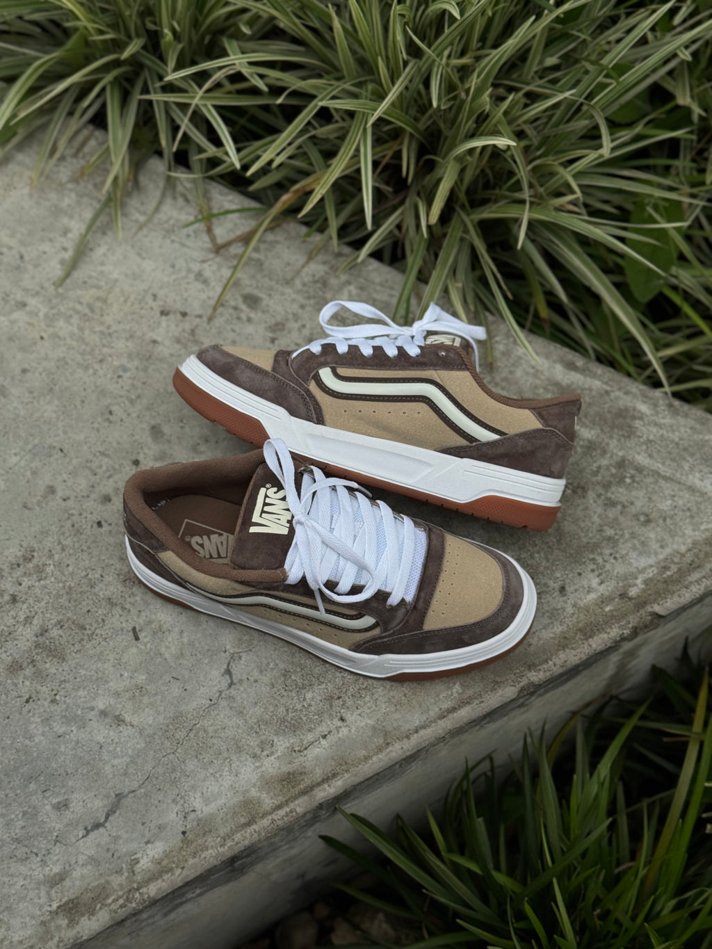 Vans Hylane Cafe