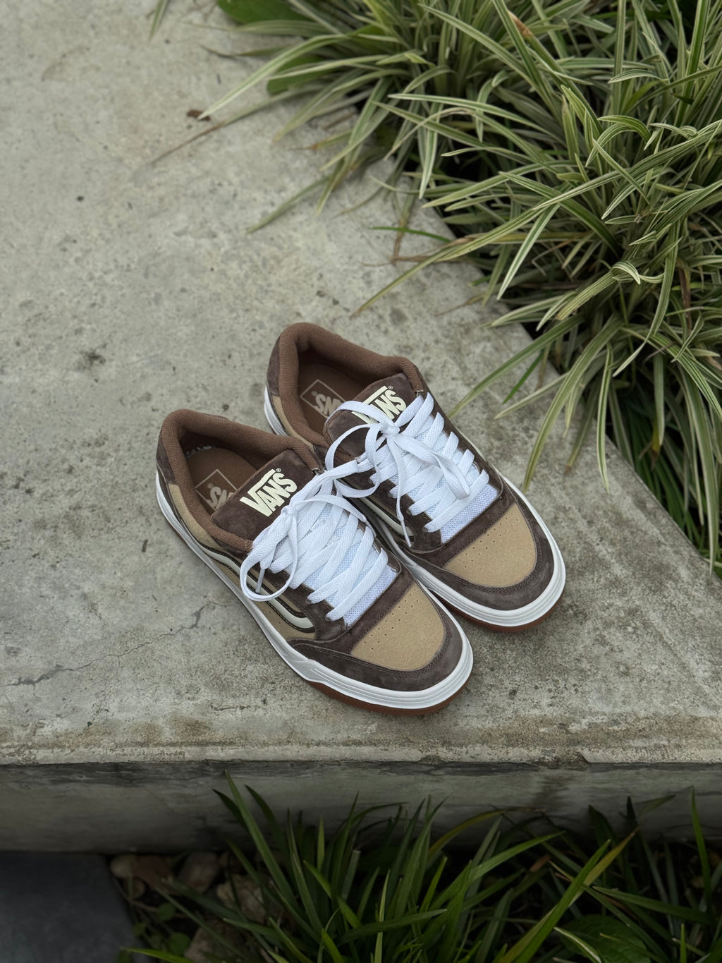 Vans Hylane Cafe
