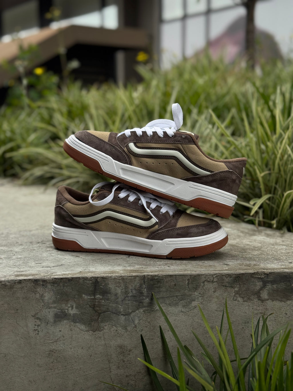 Vans Hylane Cafe