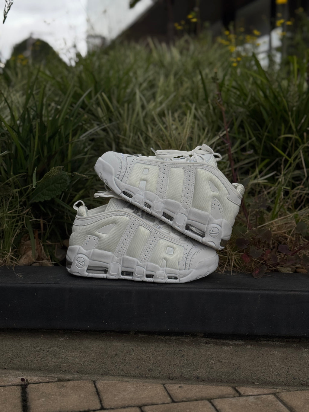 Nike More Uptempo Low