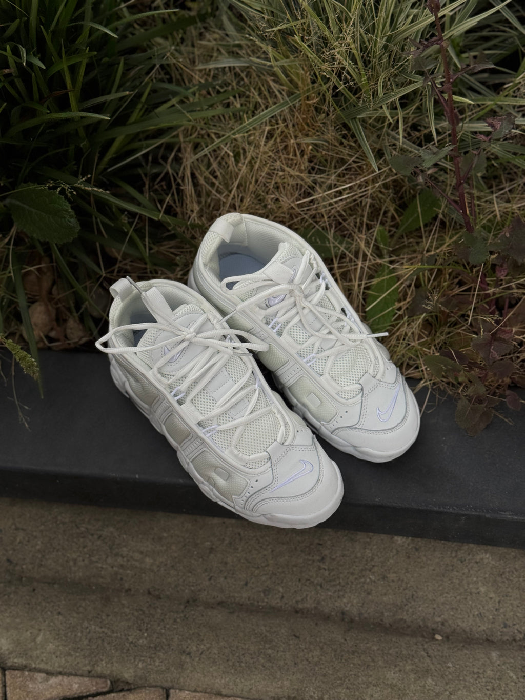 Nike More Uptempo Low