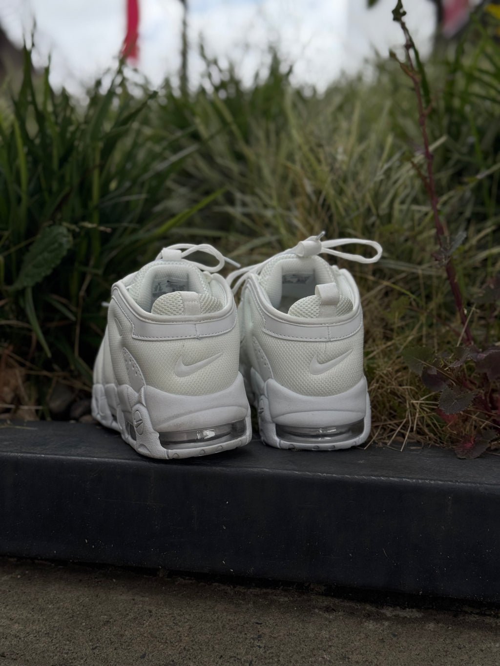 Nike More Uptempo Low