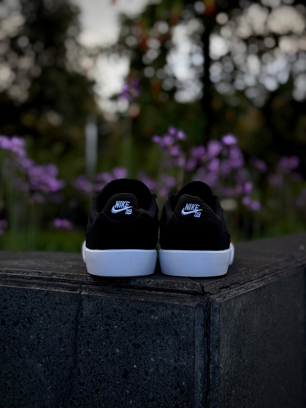 Nike SB Malor