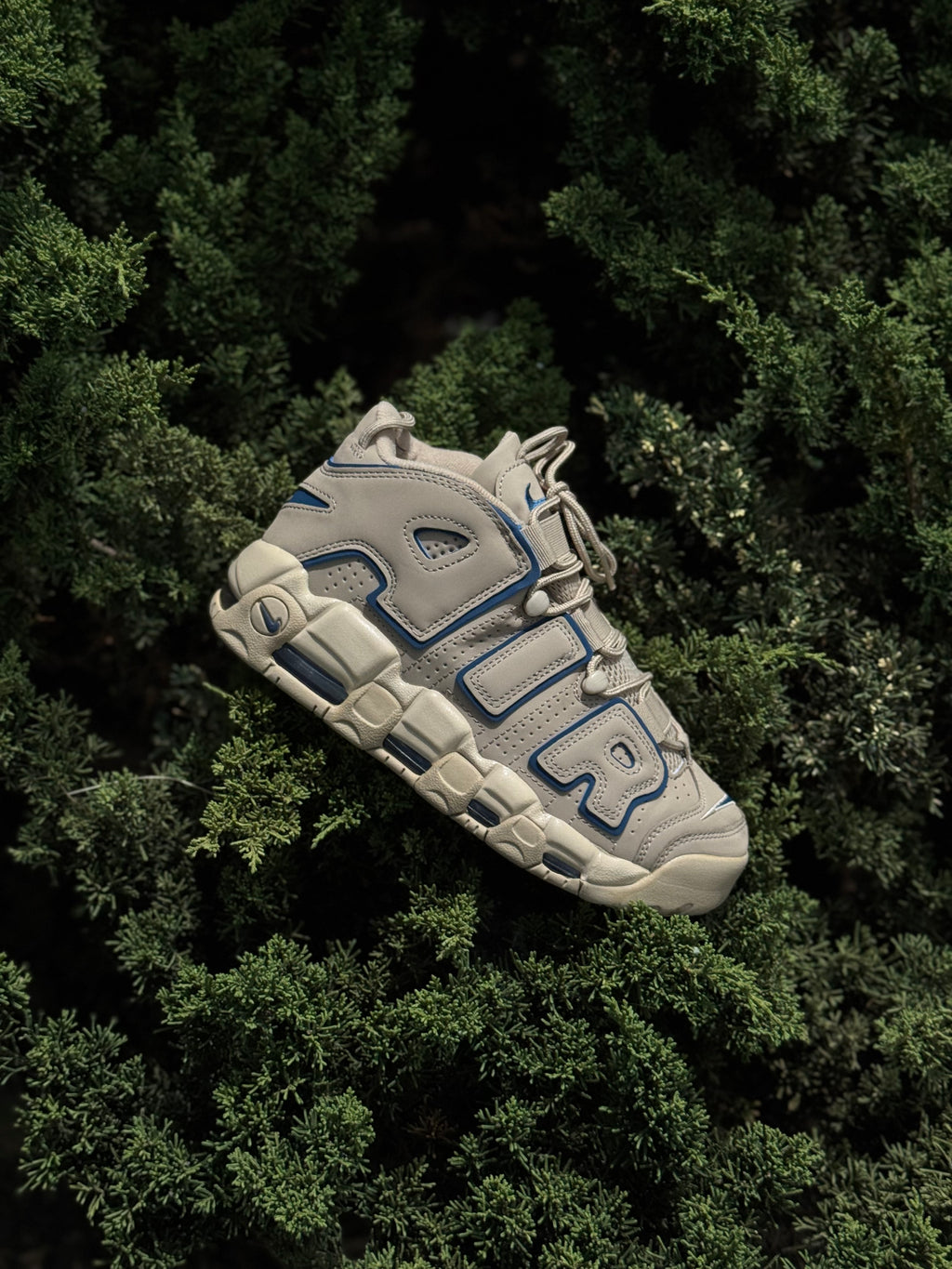Nike Air More Uptempo