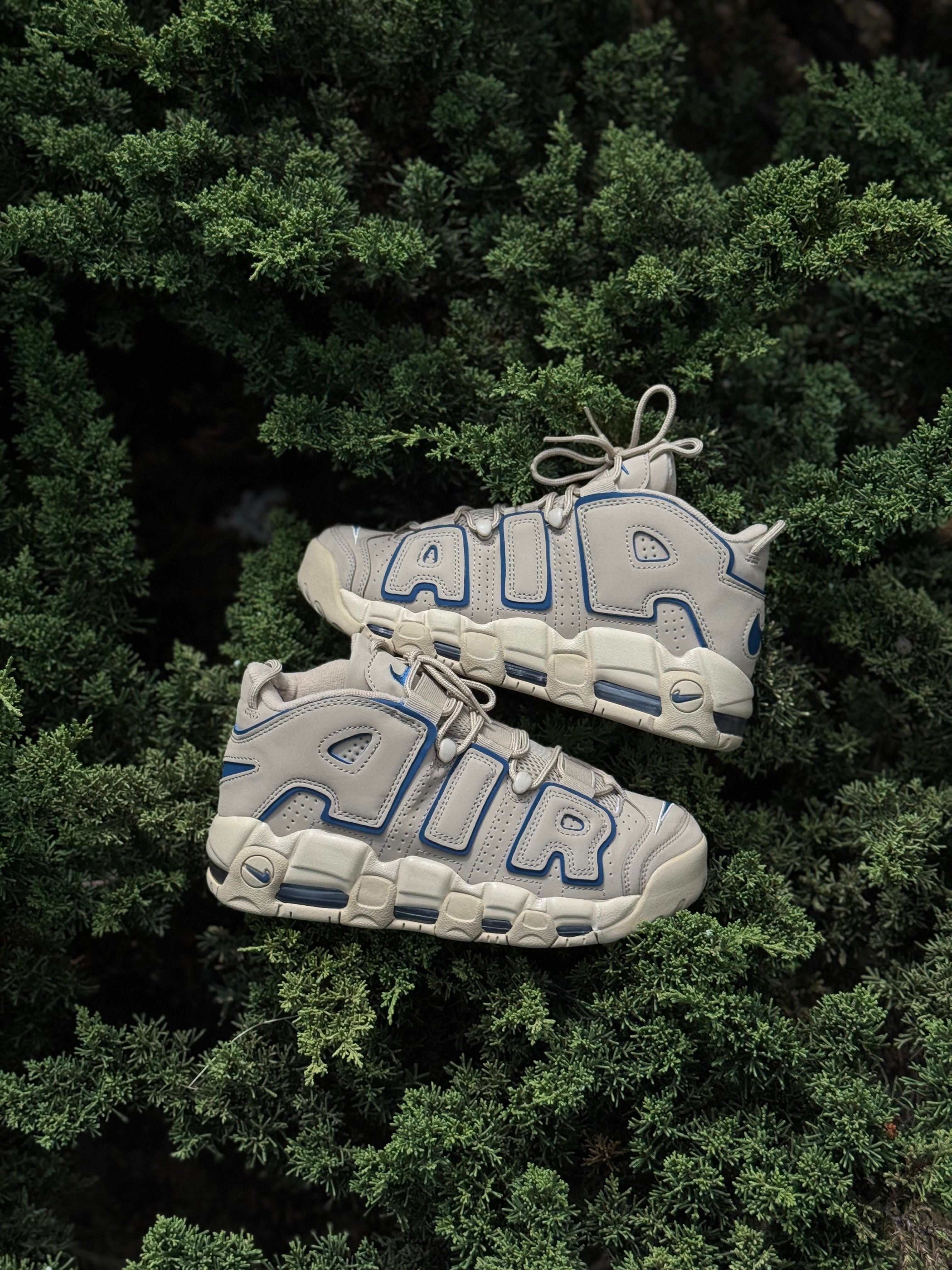 Nike Air More Uptempo