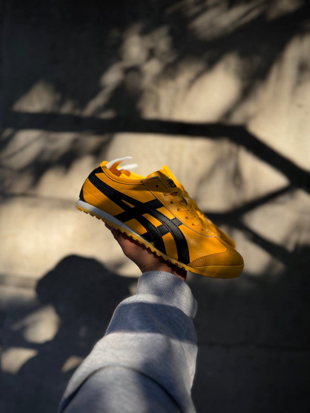 Tiger onitsuka