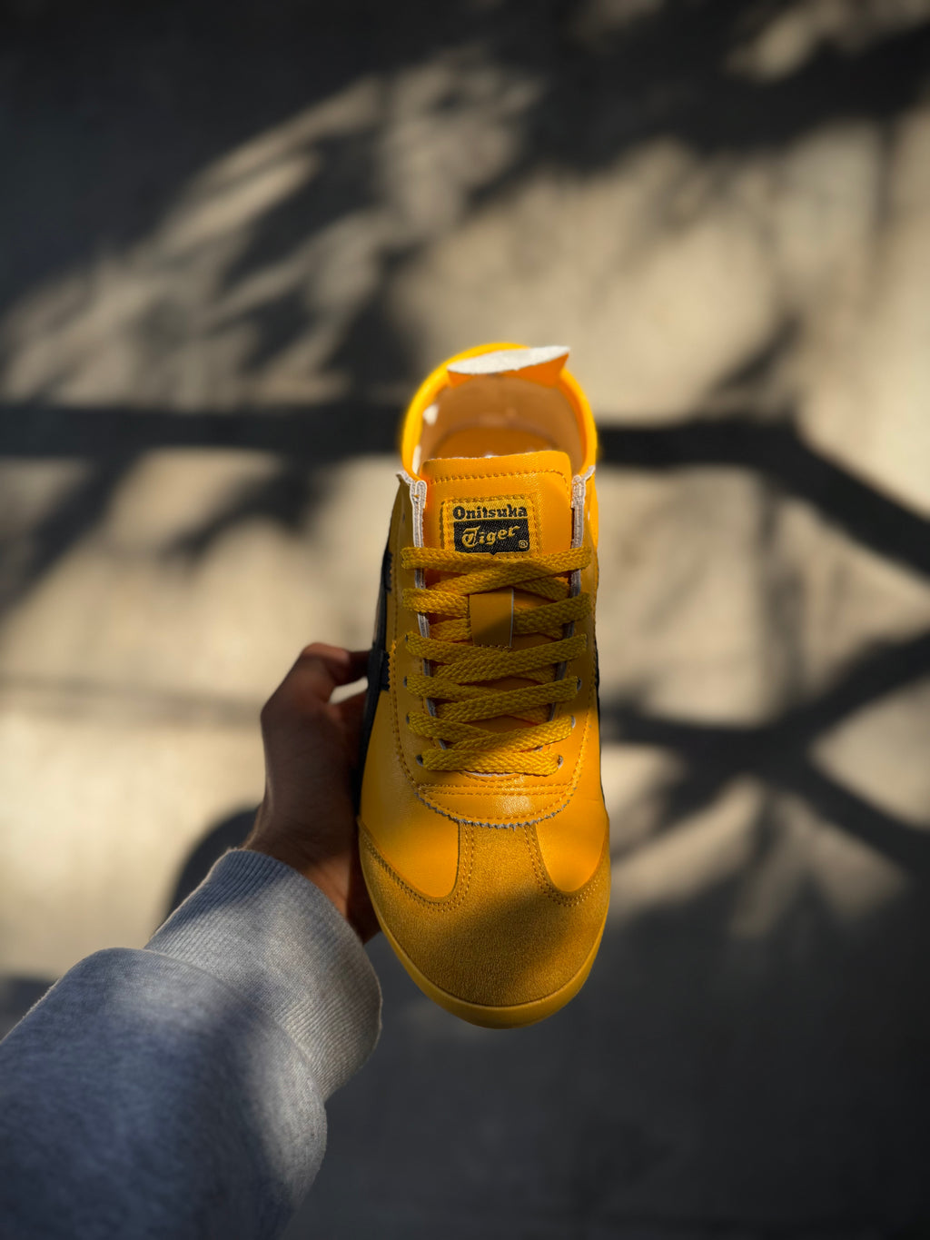 Tiger onitsuka