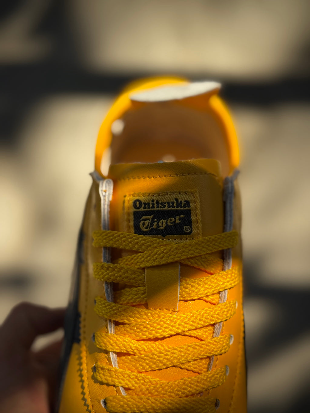 Tiger onitsuka