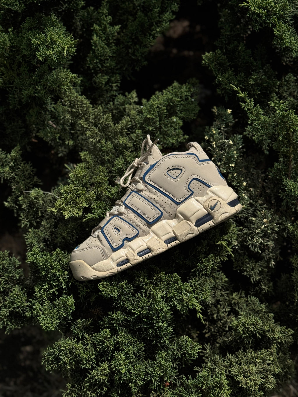 Nike Air More Uptempo