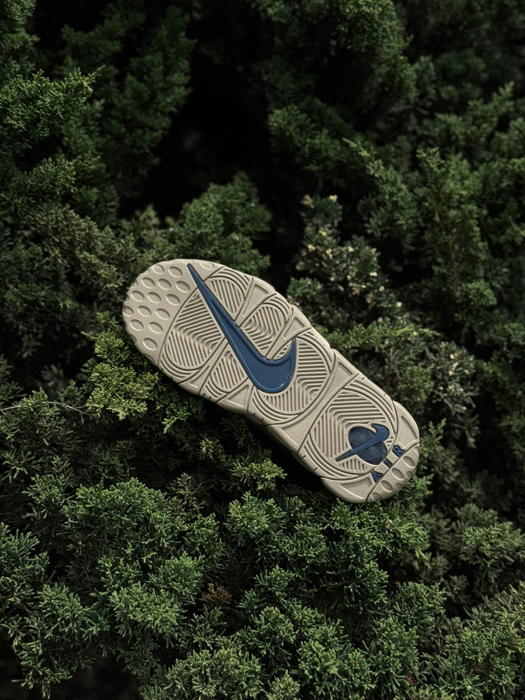 Nike Air More Uptempo