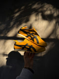 Tiger onitsuka