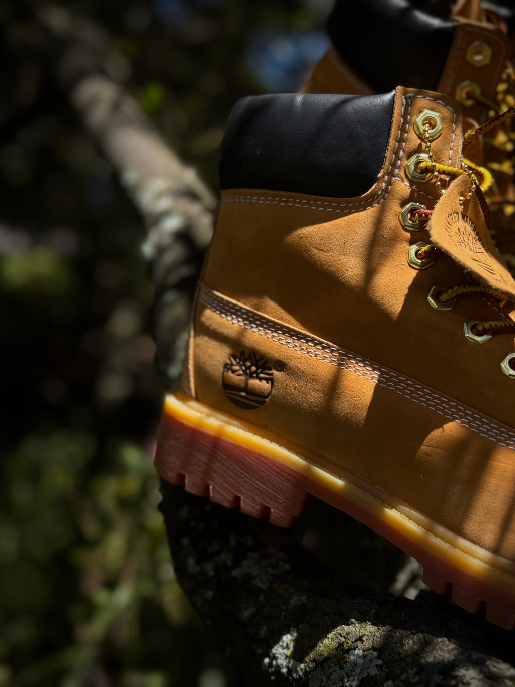 Timberland Premium 6 inch