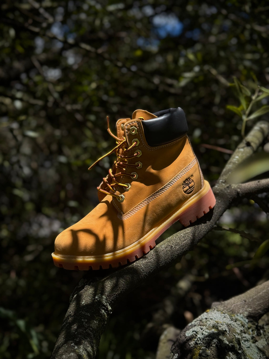 Timberland Premium 6 inch