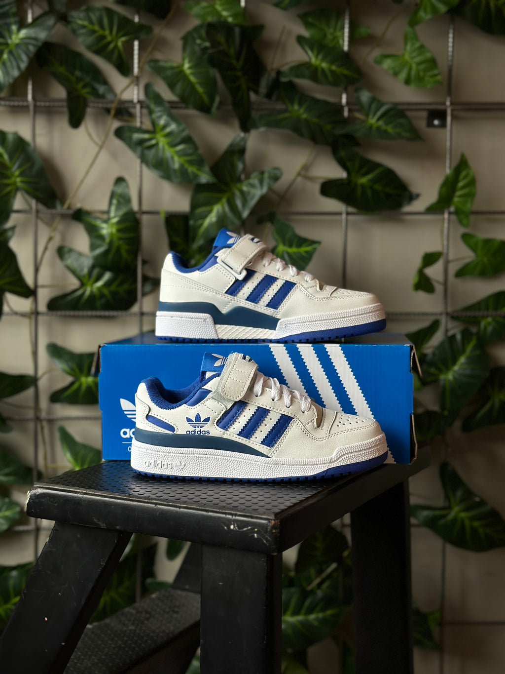 Adidas Forum