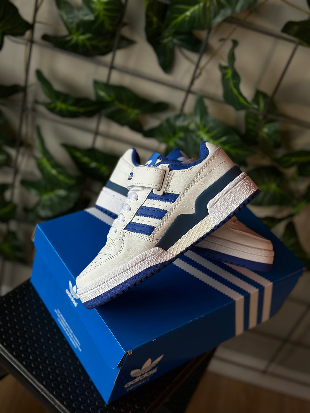 Adidas Forum