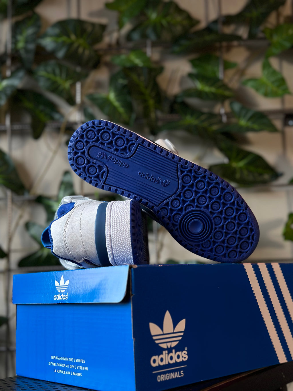 Adidas Forum