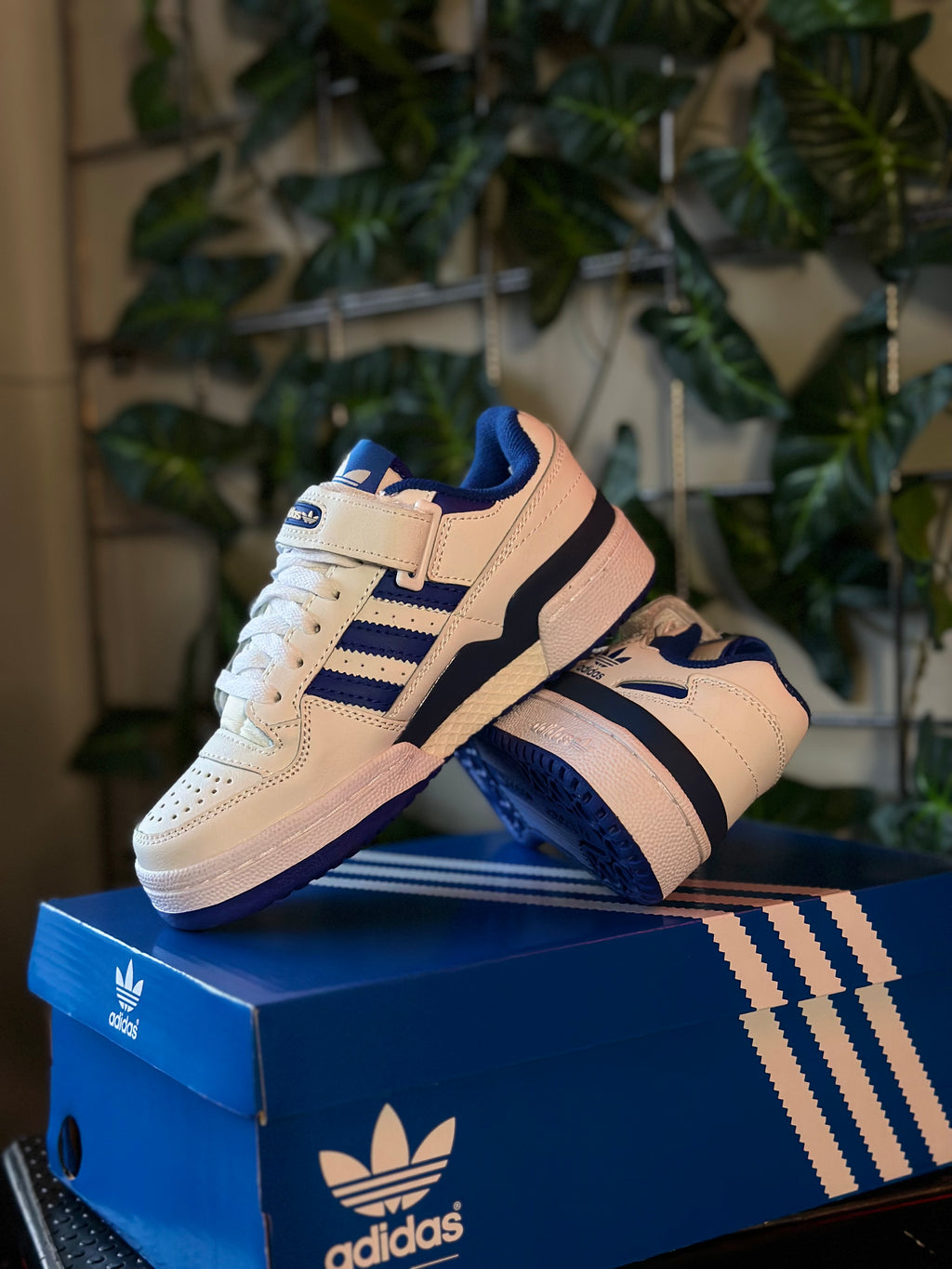 Adidas Forum