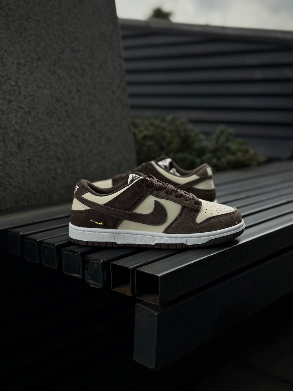 Nike Dunk Light Orewood Baroque Brown
