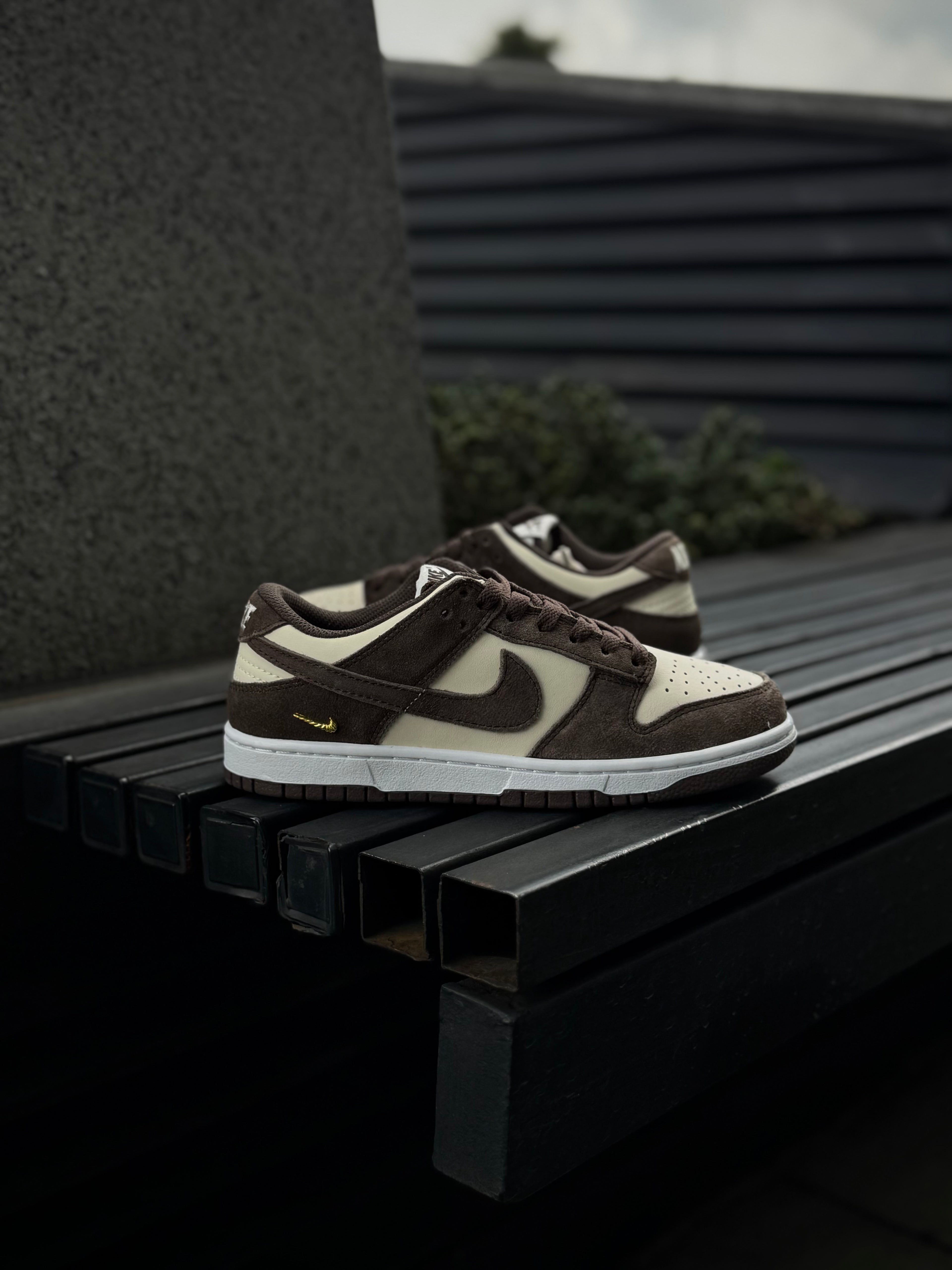 Nike Dunk Light Orewood Baroque Brown