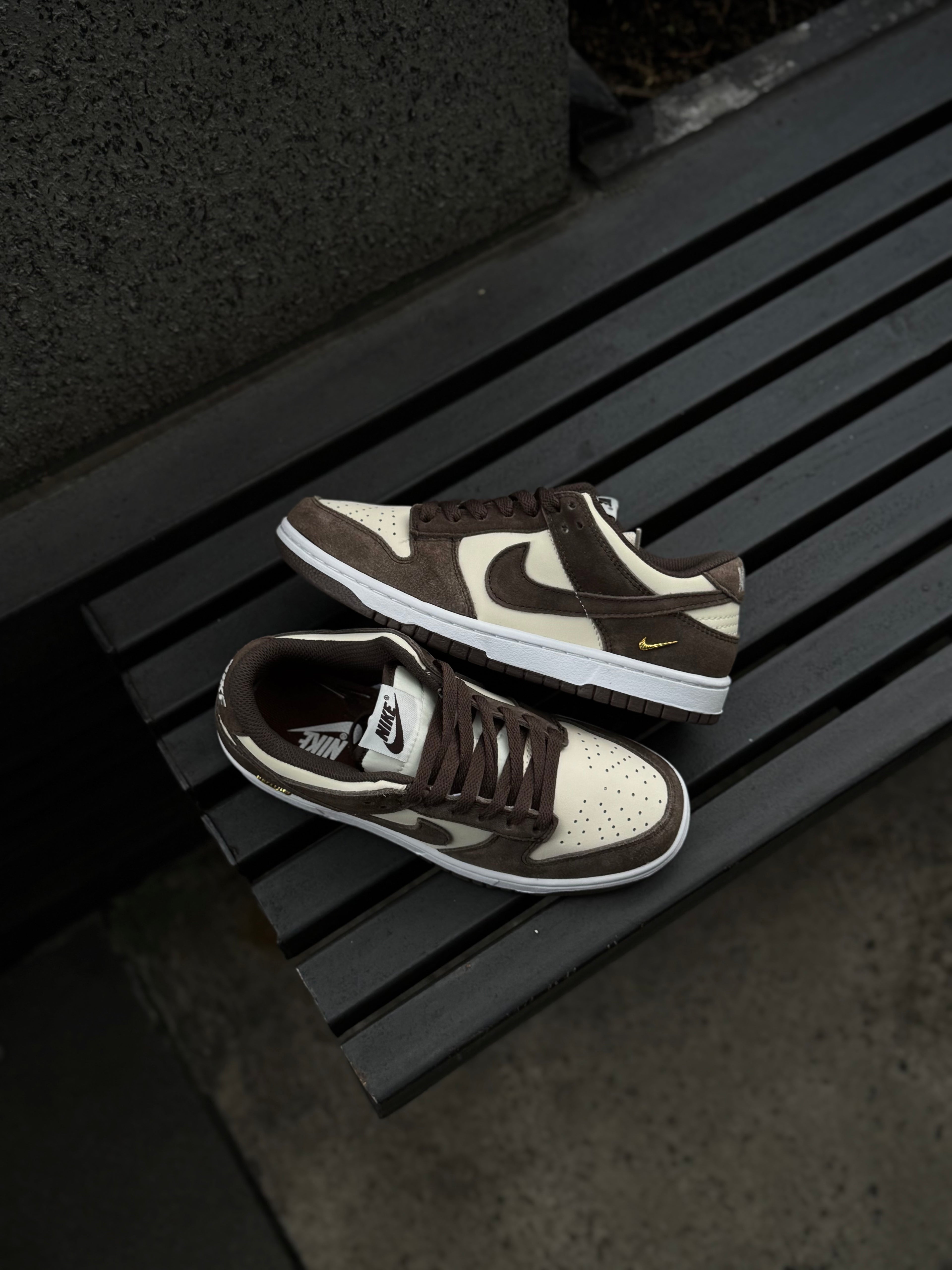 Nike Dunk Light Orewood Baroque Brown