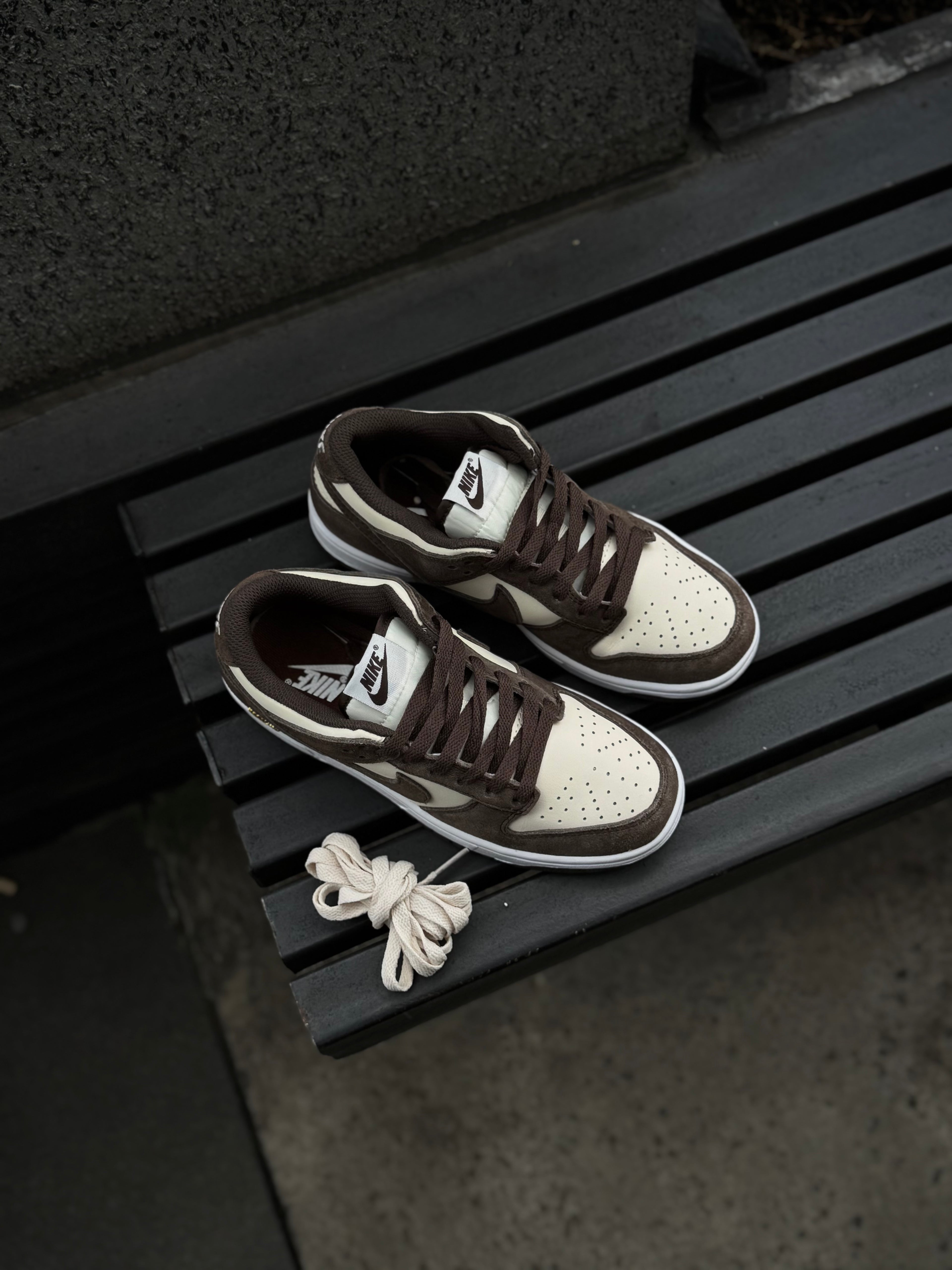 Nike Dunk Light Orewood Baroque Brown