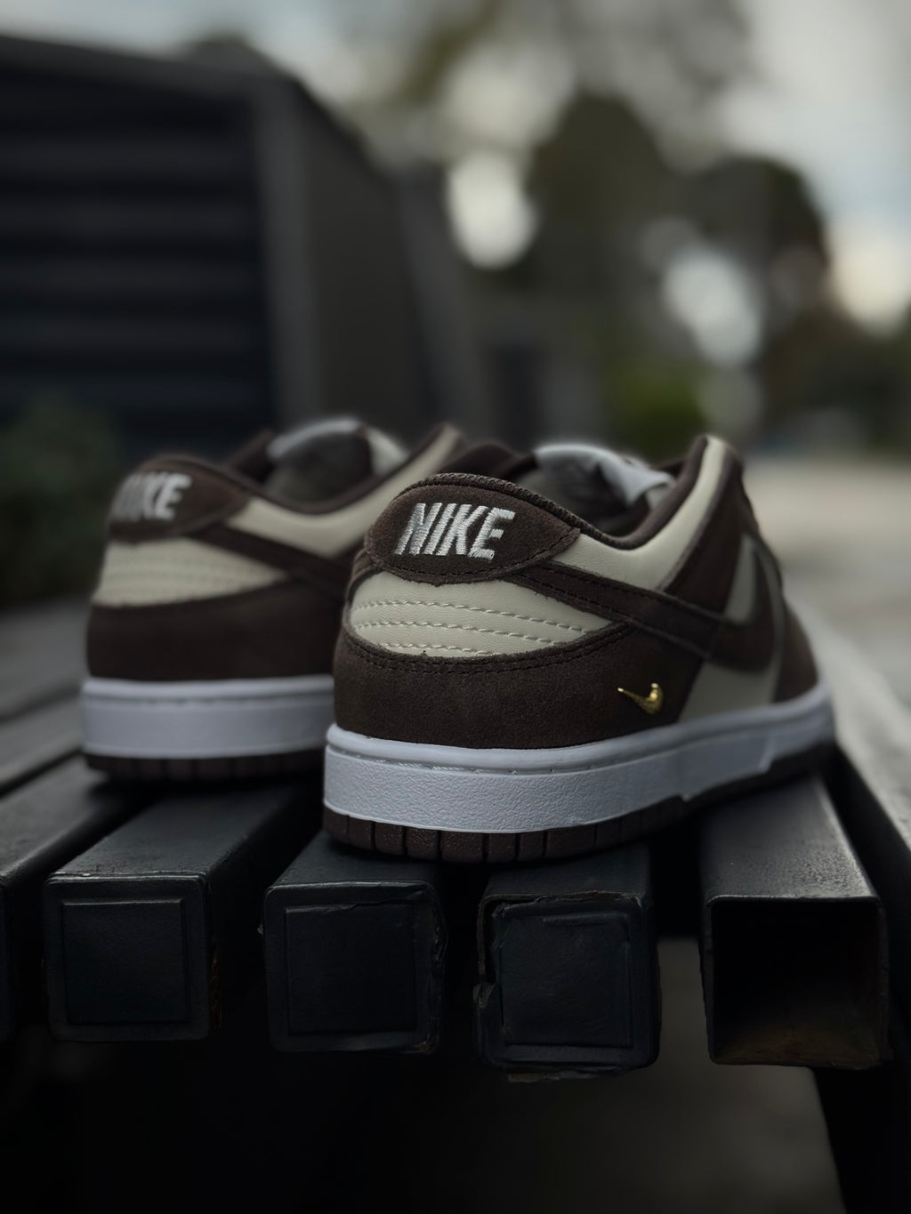 Nike Dunk Light Orewood Baroque Brown