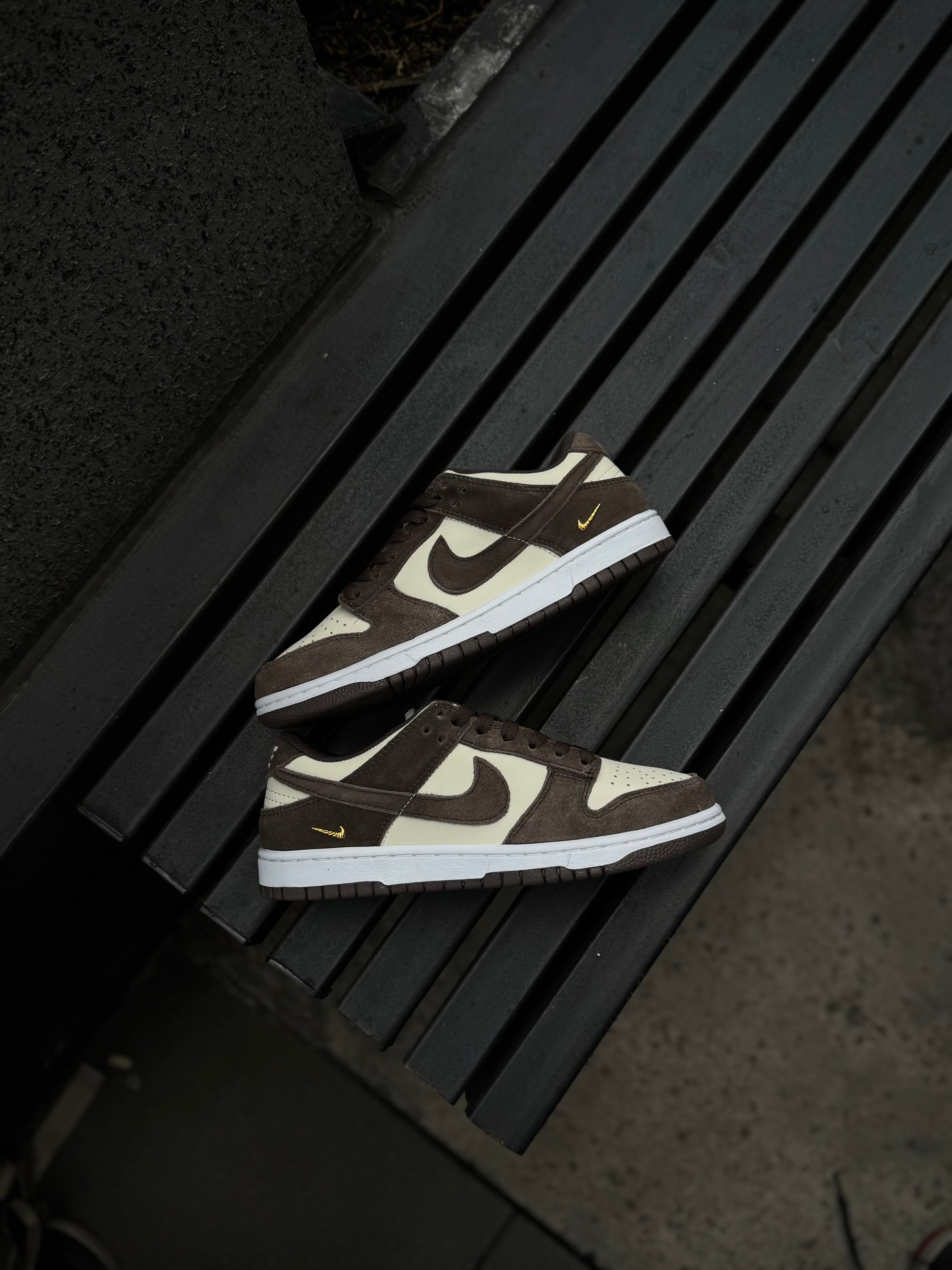 Nike Dunk Light Orewood Baroque Brown