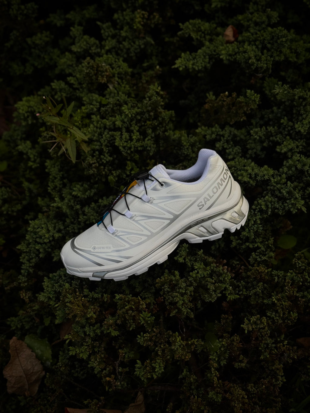 Salomón XT-6 White x Goretex