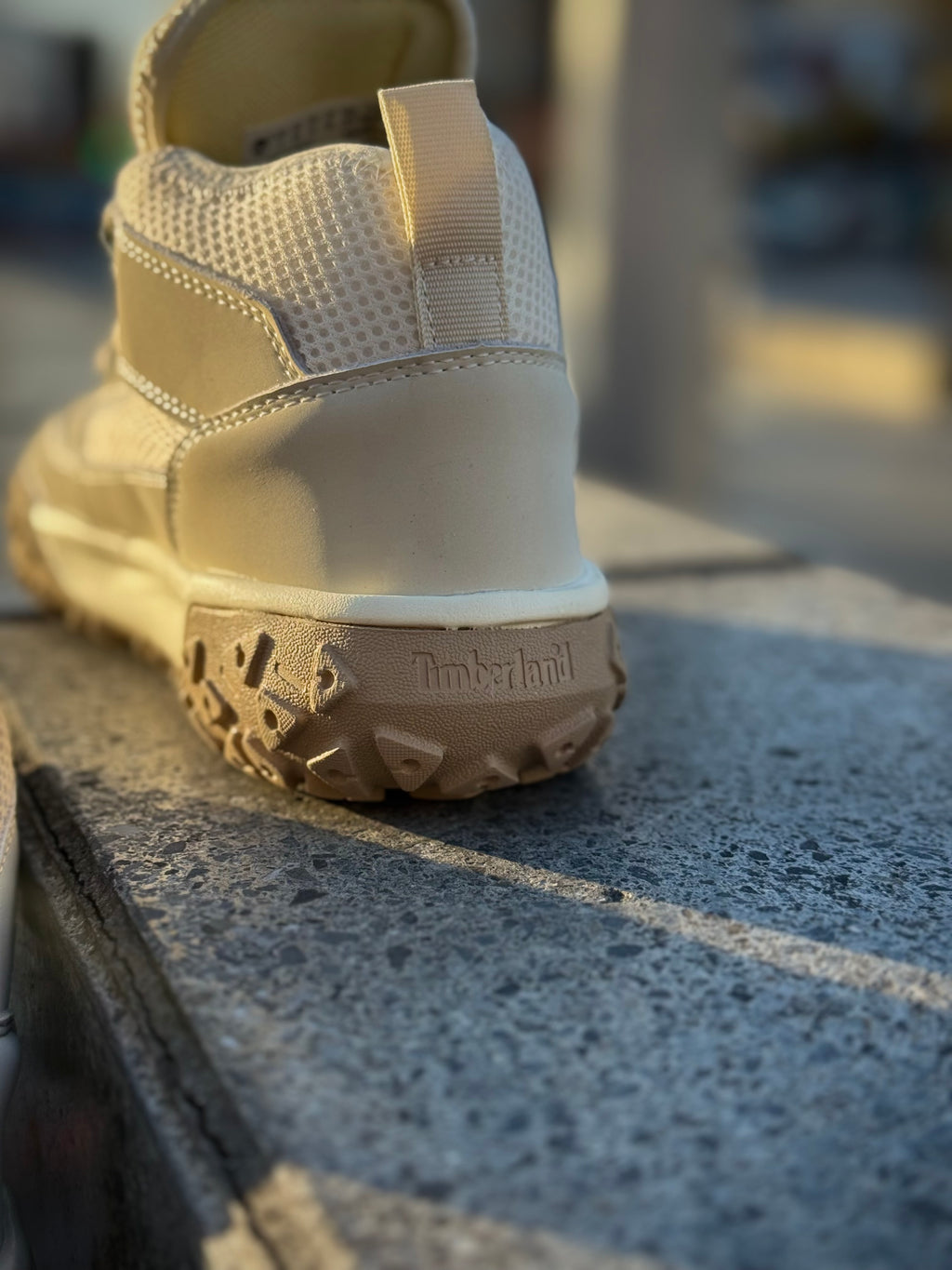 Timberland GreenStride Motion 6 Mid Beige