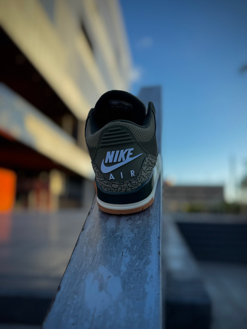 Jordan 3 Family Affair