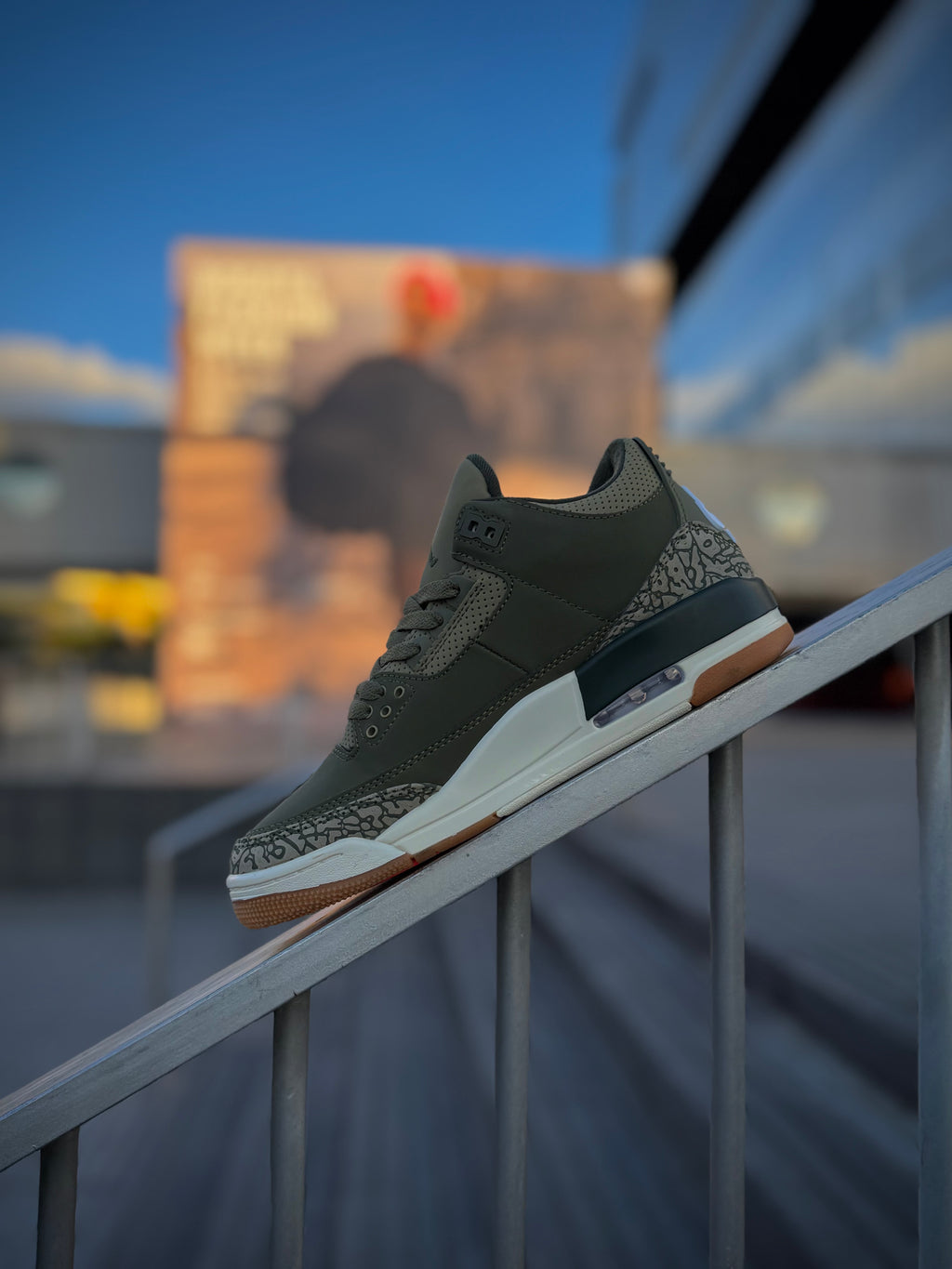 Jordan 3 Family Affair
