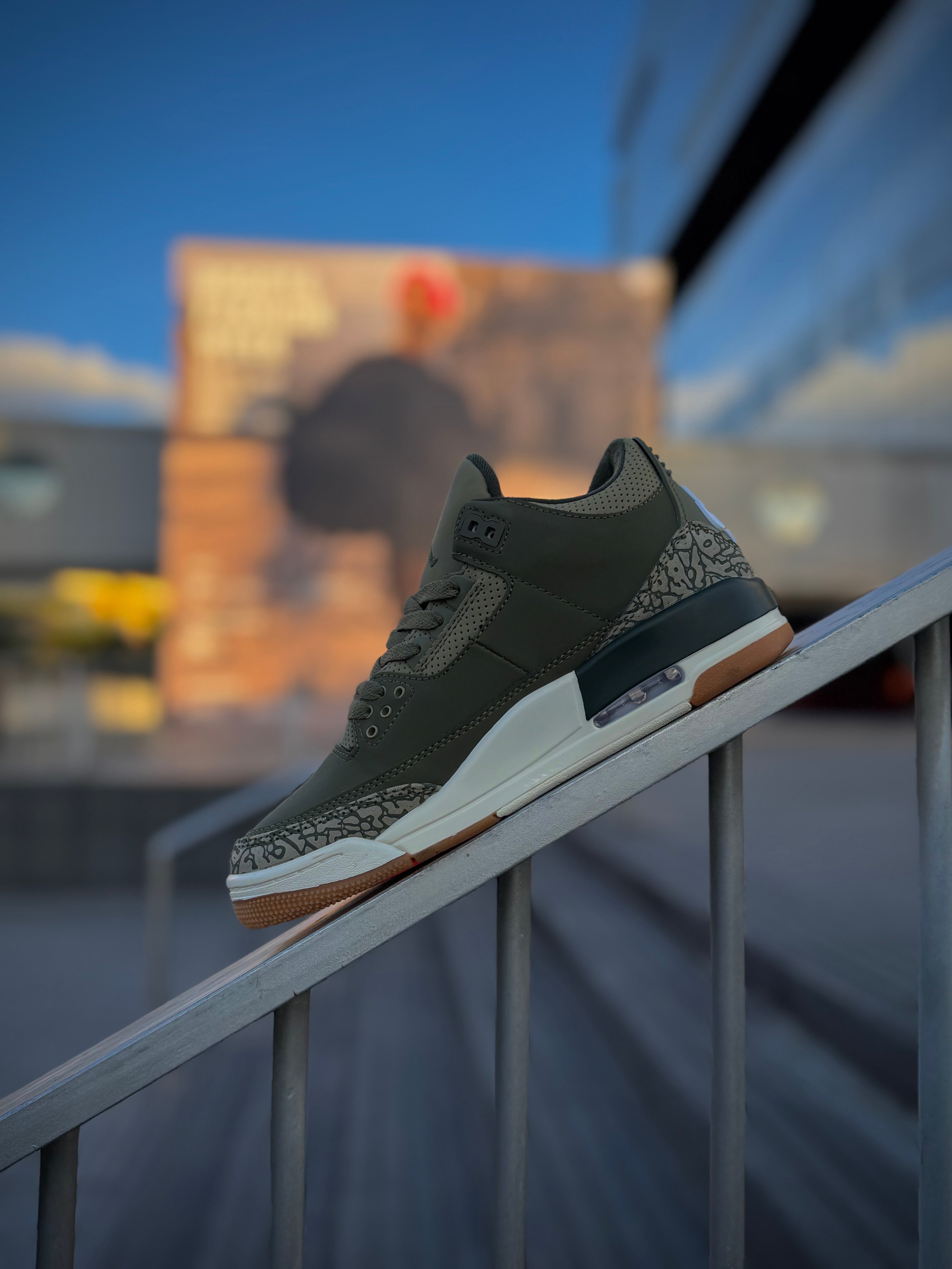 Jordan 3 Family Affair