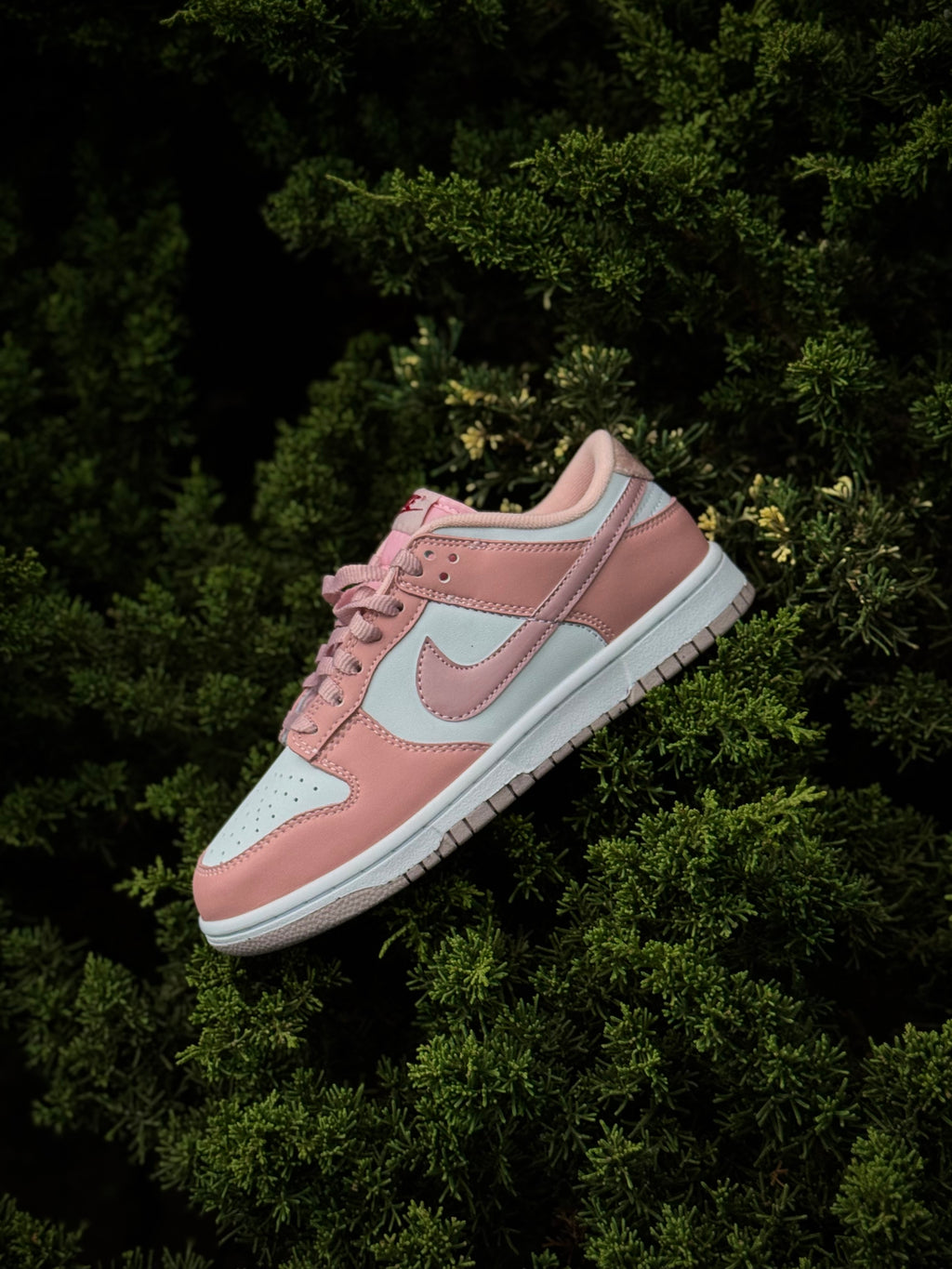 Nike Dunk Pink
