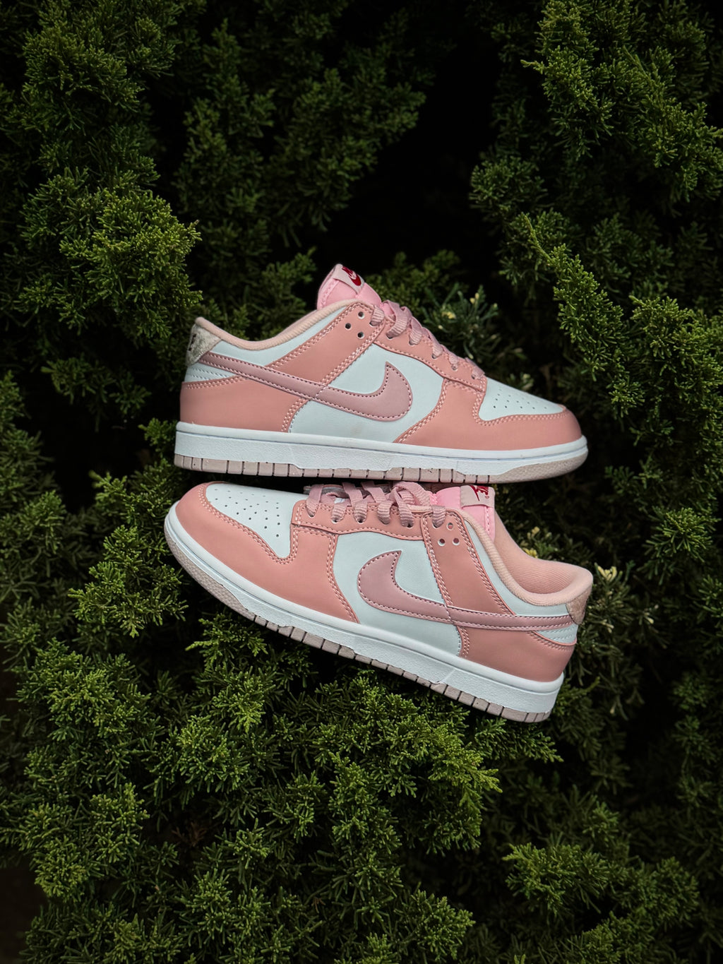 Nike Dunk Pink