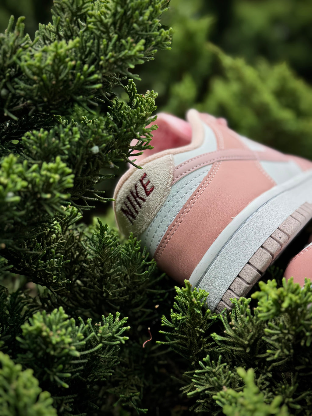 Nike Dunk Pink