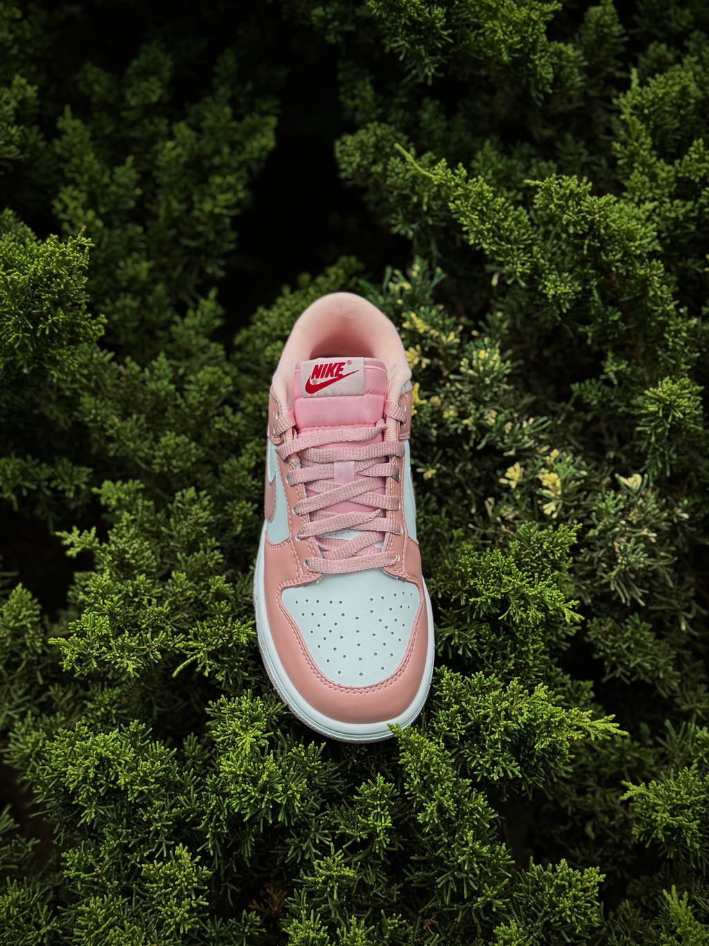 Nike Dunk Pink