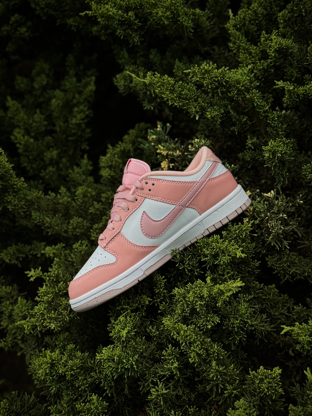 Nike Dunk Pink