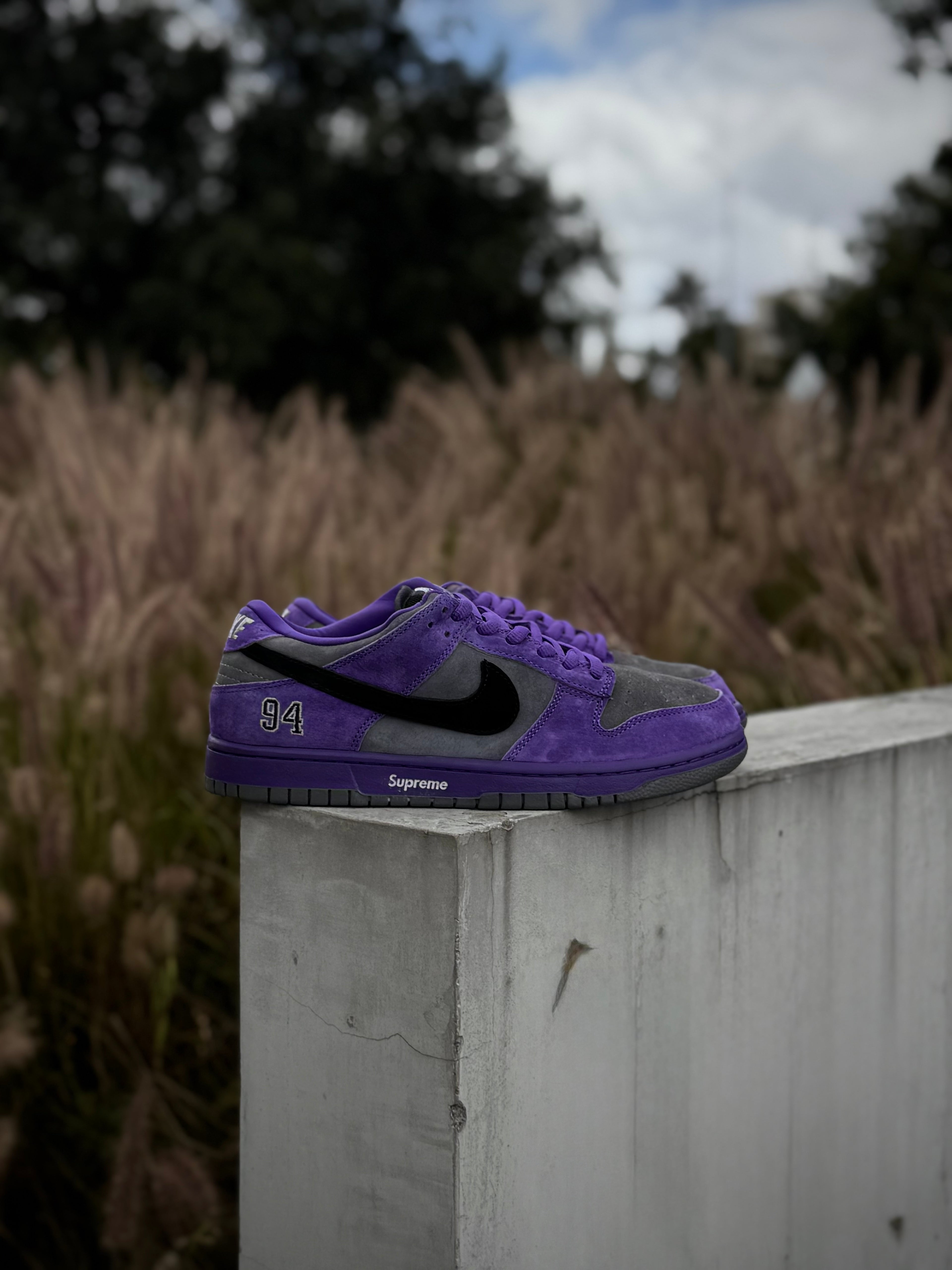 Nike Dunk SB Ink x Supreme