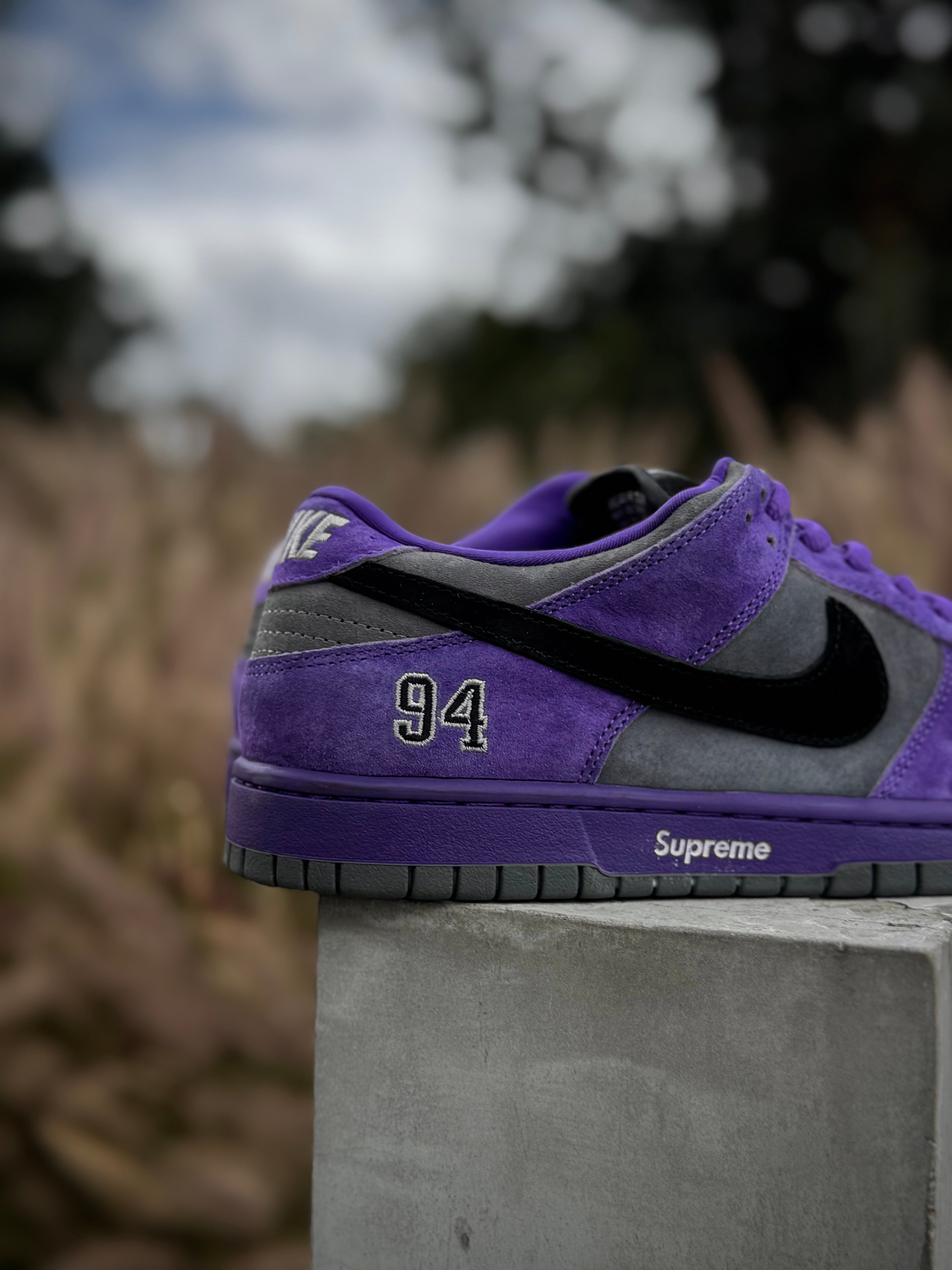 Nike Dunk SB Ink x Supreme