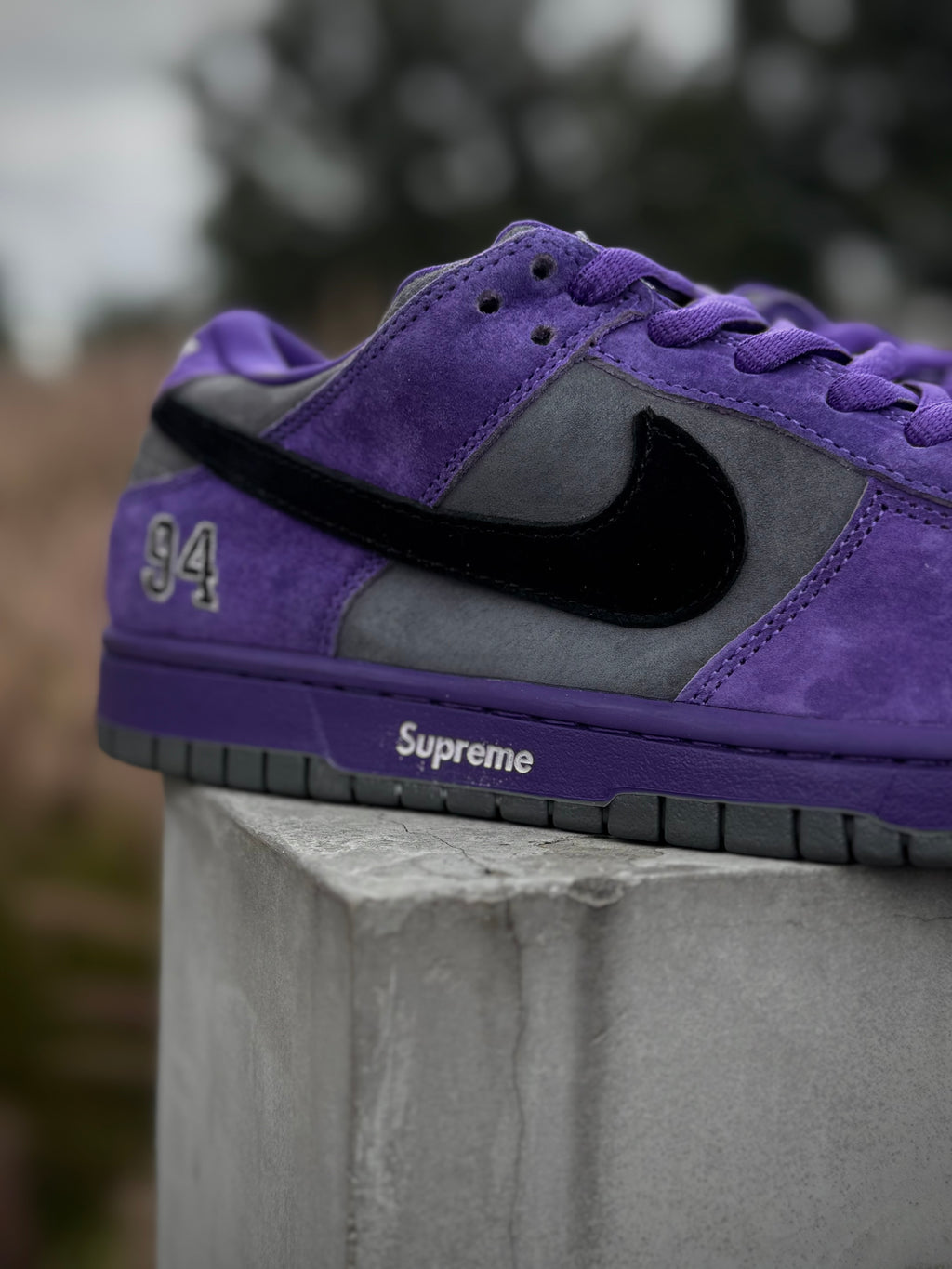 Nike Dunk SB Ink x Supreme