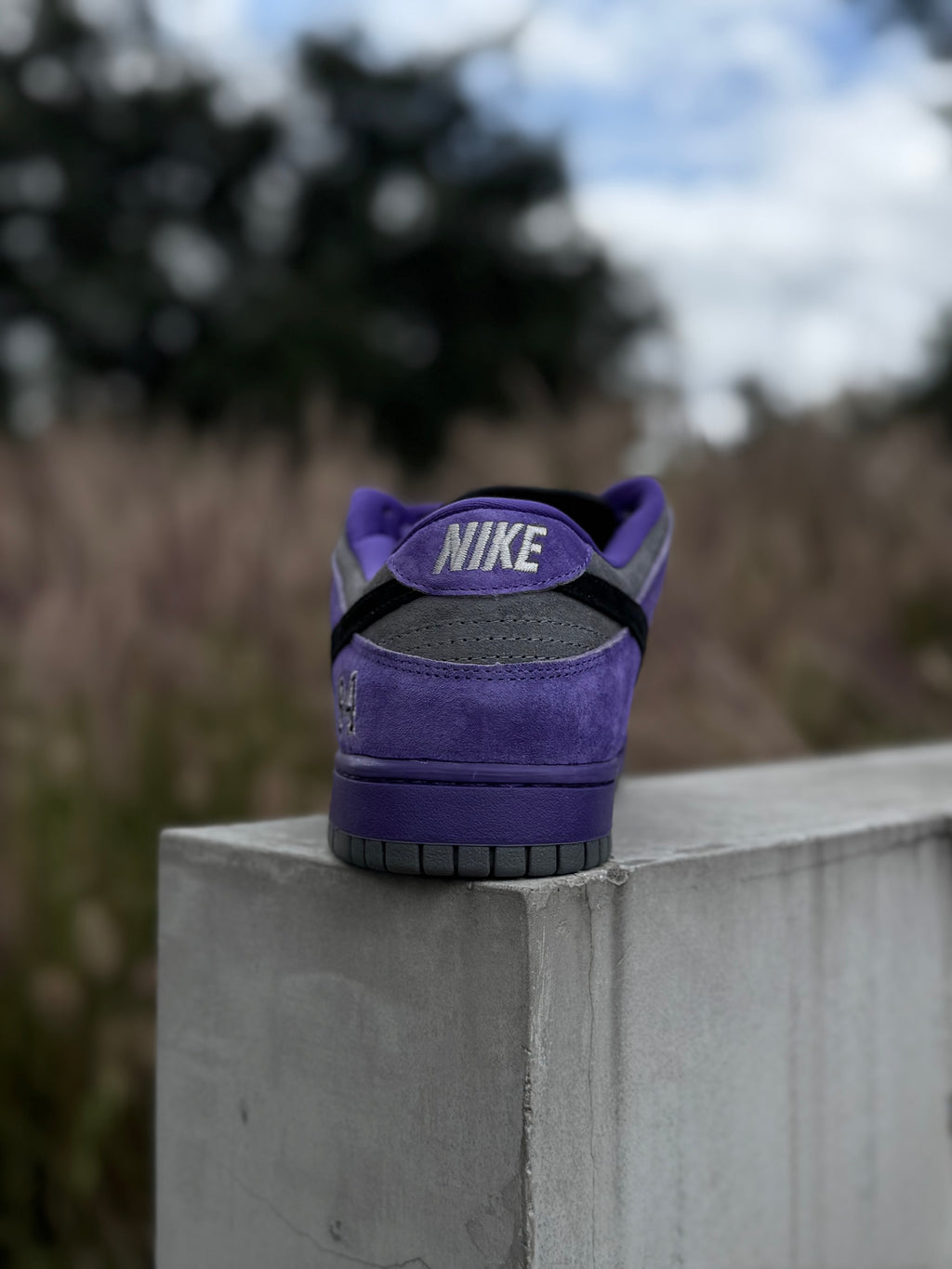 Nike Dunk SB Ink x Supreme