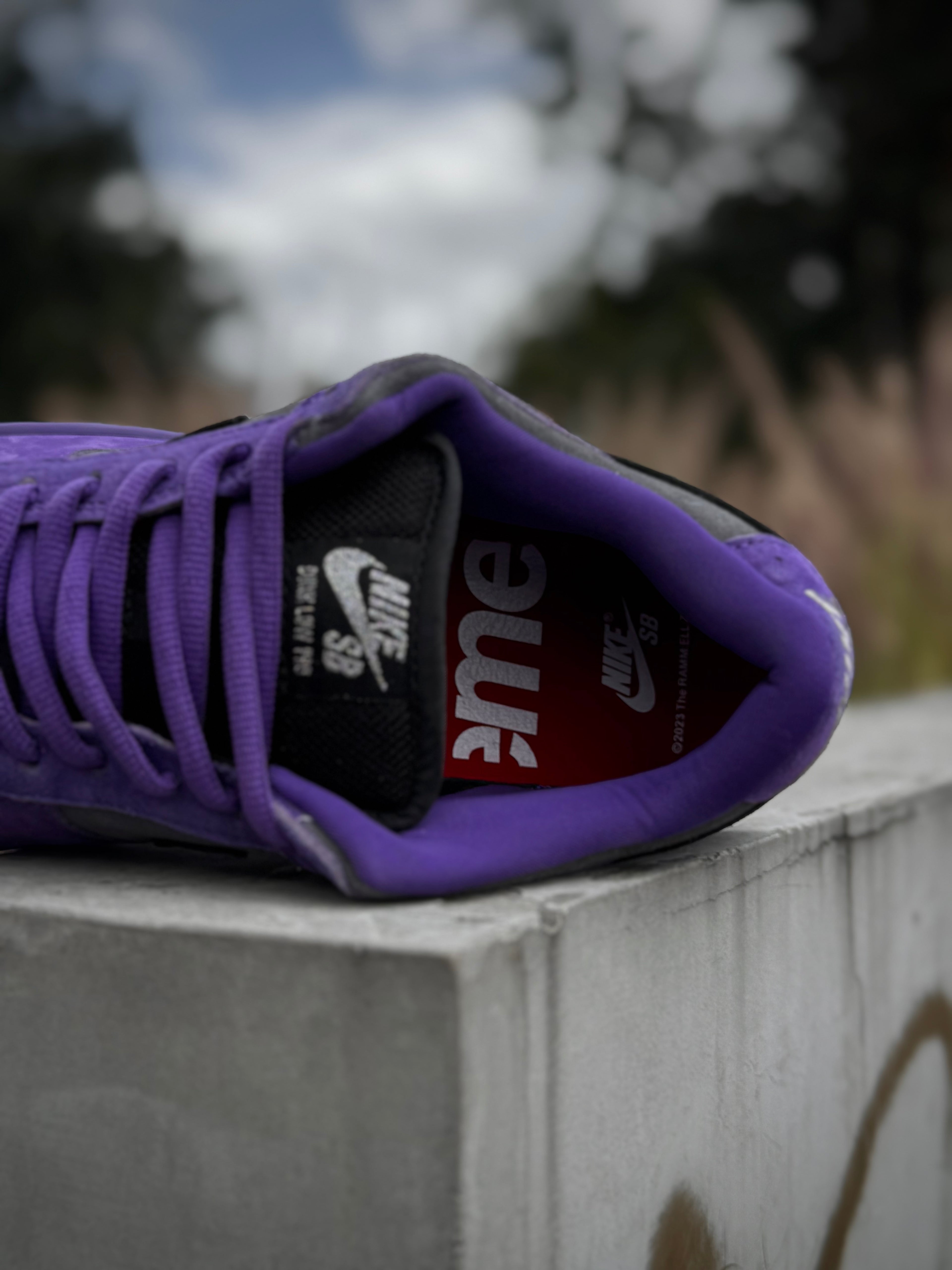Nike Dunk SB Ink x Supreme