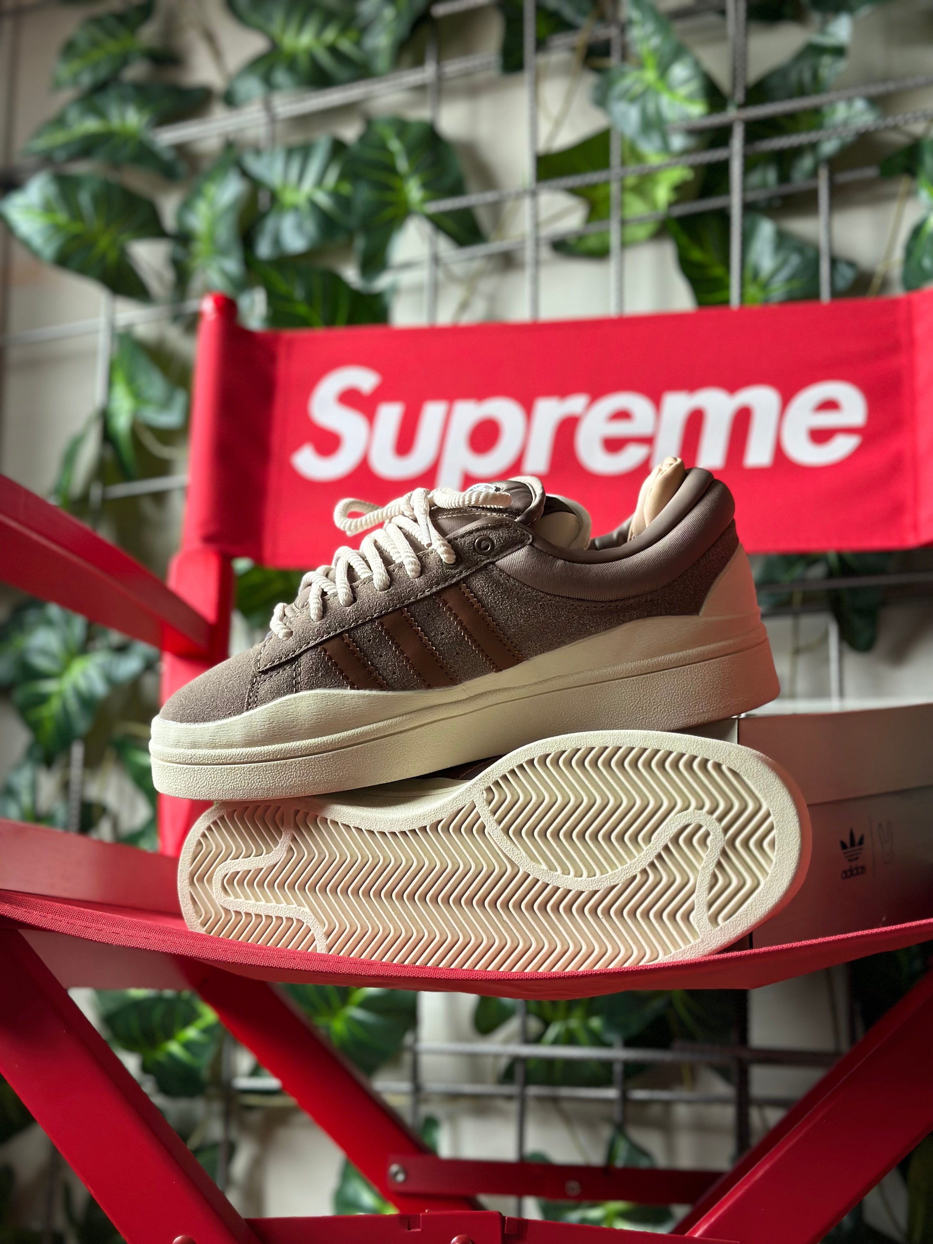 Adidas Bad Bunny Campus Chalky Brown