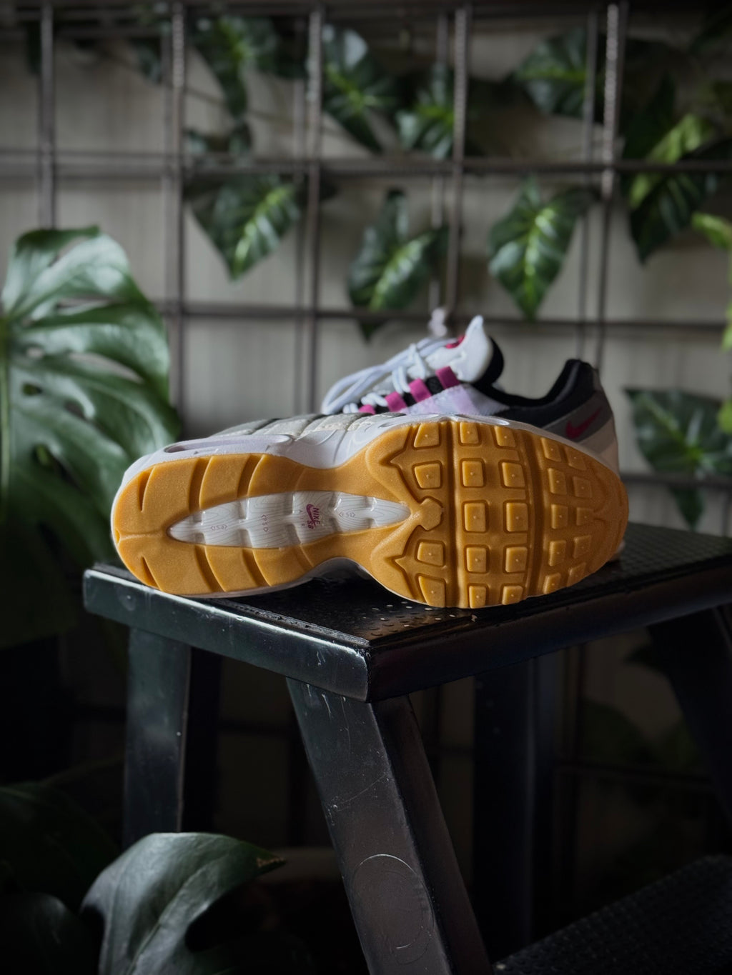 Air Max Sb 95 Cactus Flower