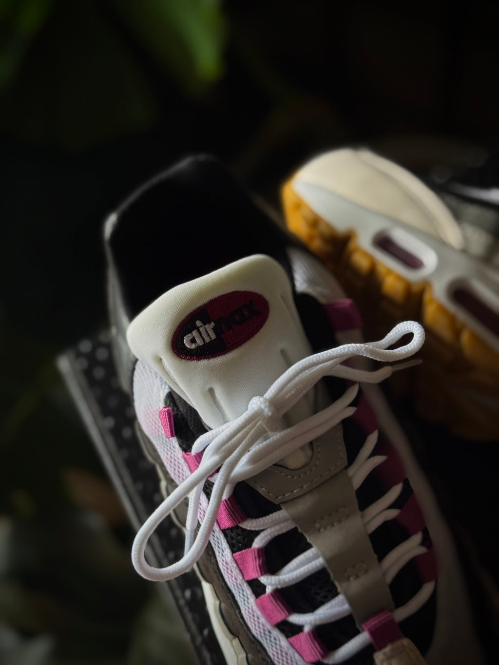 Air Max Sb 95 Cactus Flower